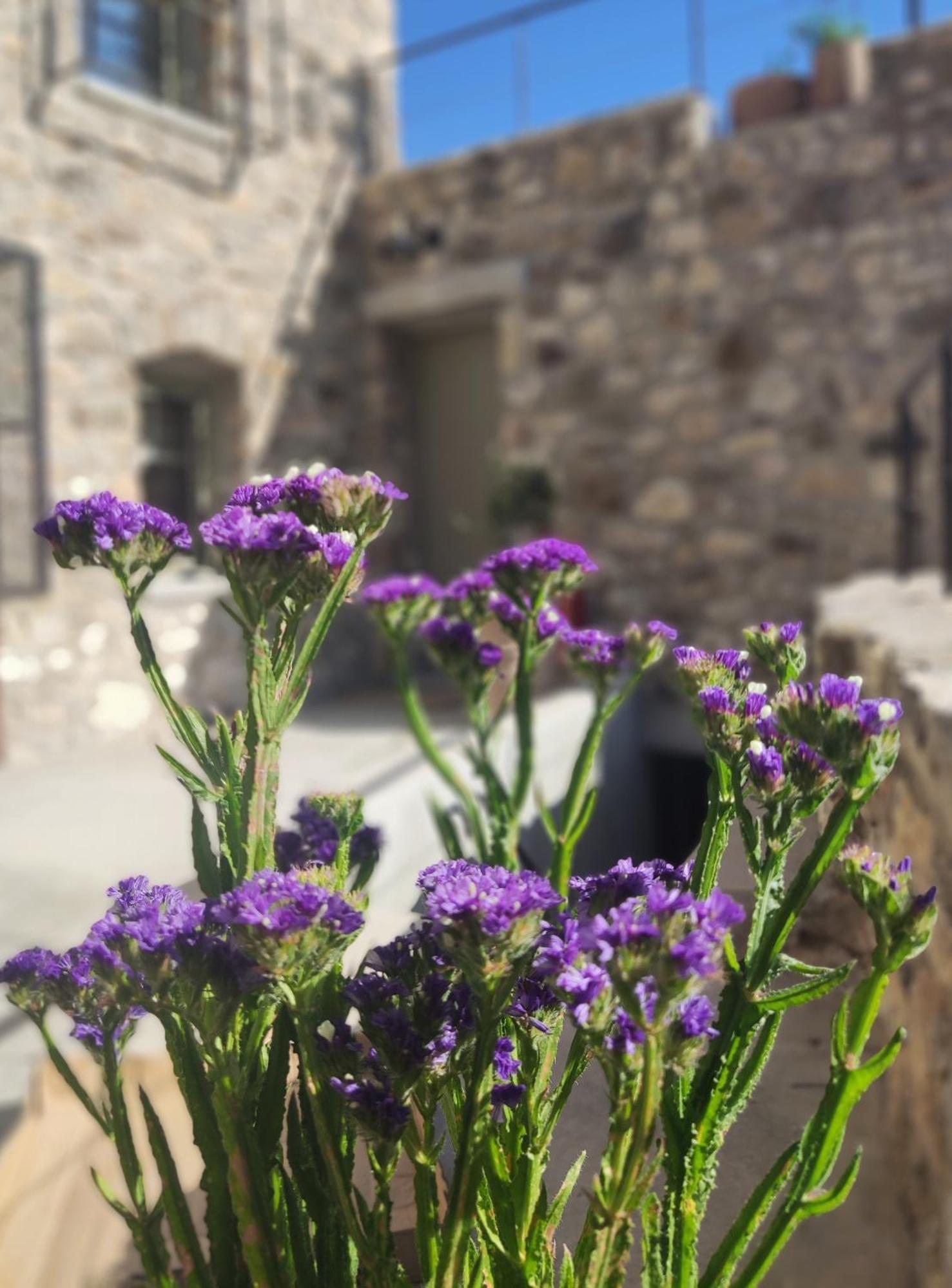 Pirgos  Pyrgi Cretan Living & Spa מראה חיצוני תמונה